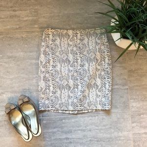 Ann Taylor Pencil Skirt